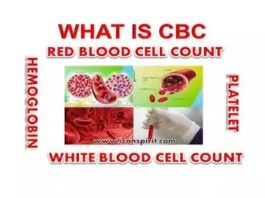 What is complete blood count test in hindi