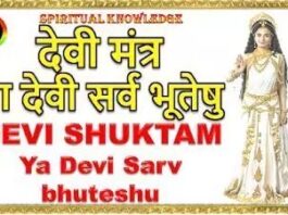 Tantroktam Devisuktam | या देवी सर्व भूतेषु -Devi Stuti